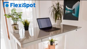 Flexispot FR discounts