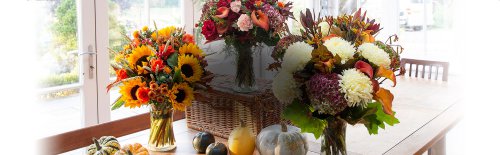 Appleyard Flowers reviews