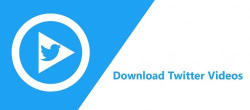 twitter video downloader