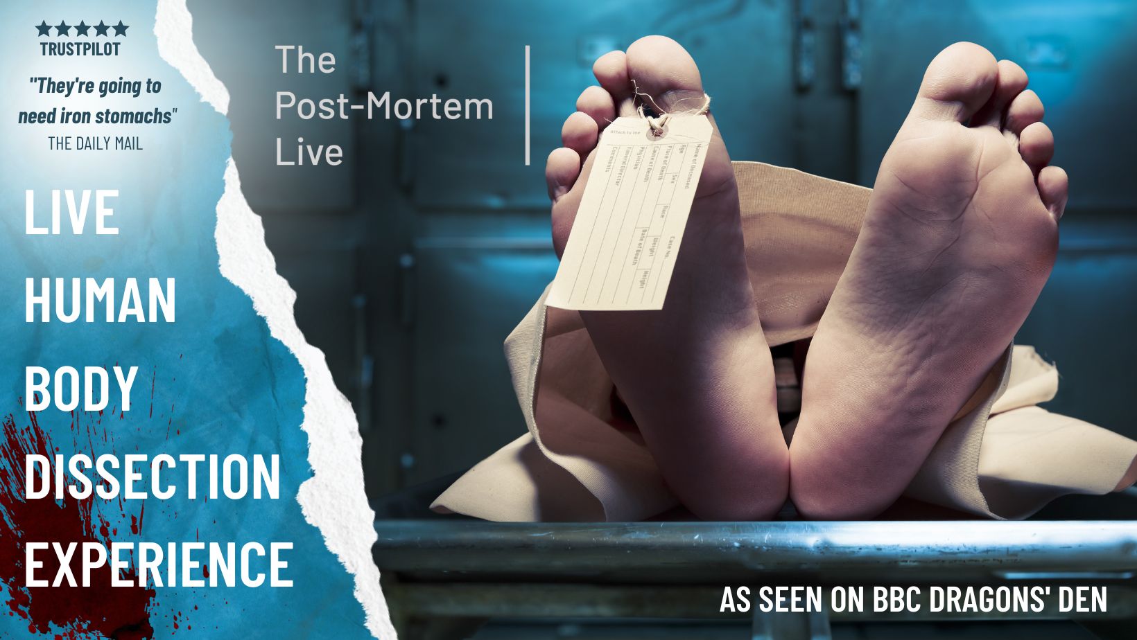 Post-Mortem