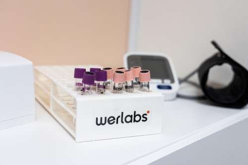 Werlabs SE