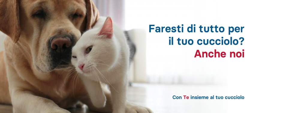 conte Cane e Gatto IT